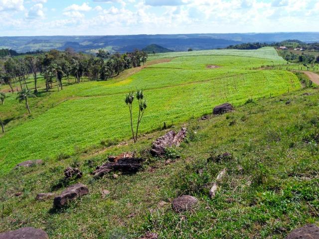 Chácara de 16 Alqueires ( Porteira Fechada ) R$ 3.350.000,00 Jordão ( Guarapuava PR ) - Foto 2