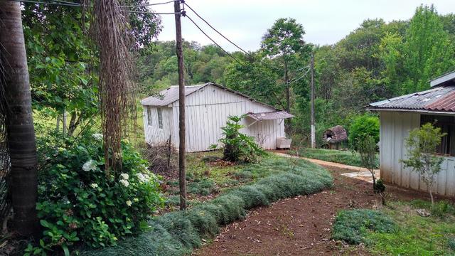 Chácara de 7.5 Alqueires . 1 Alq Mecanizado + 4 mil Pé de Eucalipto ( Jordão ) Guarapuava - Foto 4