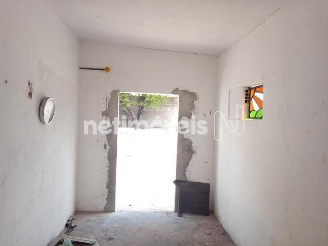 Terreno para alugar em Padre andrade, Fortaleza cod:783020 - Foto 5