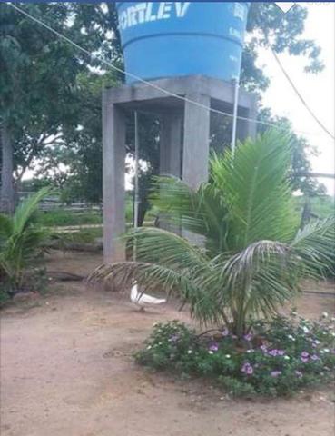 Sítio em MG - Foto 8