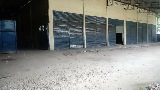 Galpão Logistico em Jardim São Paulo 600m² - Foto 4