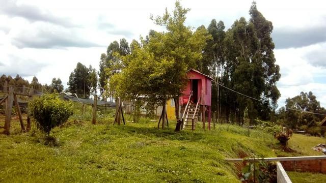 Linda Chácara com Casa Alvenaria 110 m2 - Vila Rural - Palmas PR - Foto 5