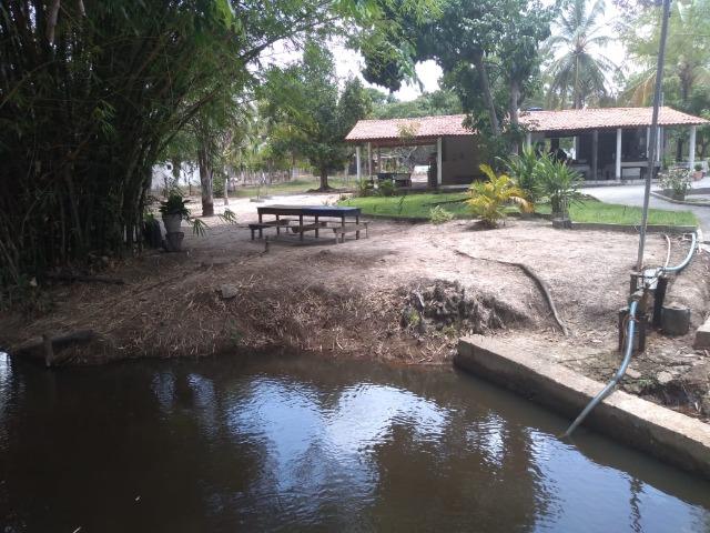Sítio no ouro fino - Foto 2