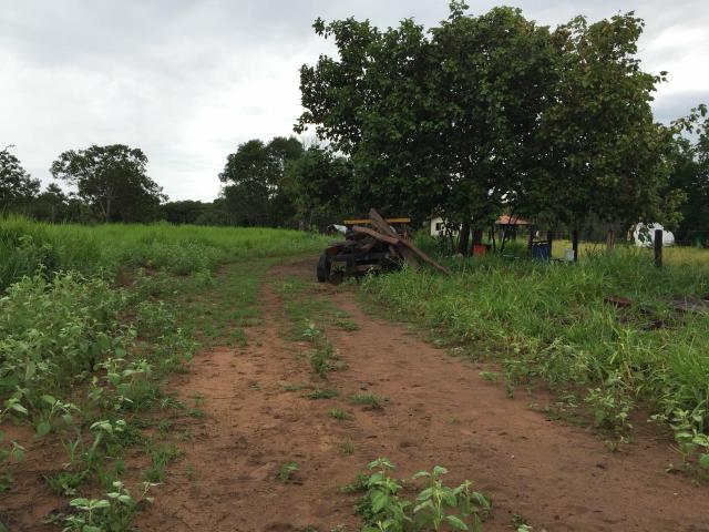 Fazenda a venda-cocalinho-mt / total13.747 hectares