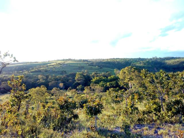 Propriedade de 98 hectares em Luziânia - Foto 4