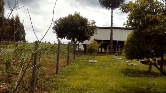 Linda Chácara com Casa Alvenaria 110 m2 - Vila Rural - Palmas PR - Foto 4