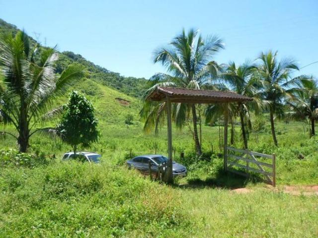 Sítio de 14 alqueires em Silva Jardim, RJ - Foto 10