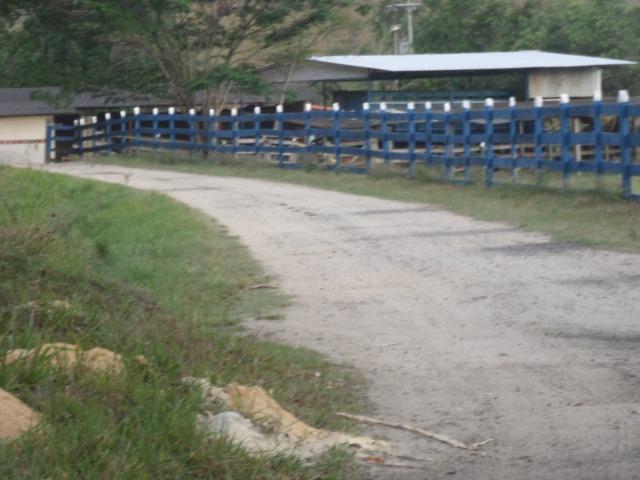 Fazenda de 118 alqueires em Casimiro de Abreu, RJ