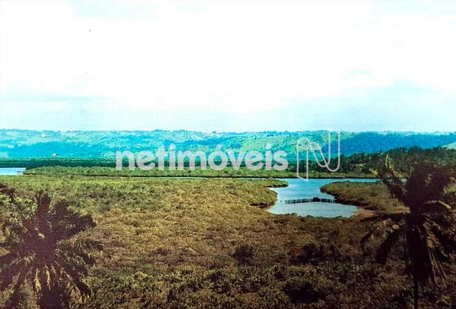 Terreno à venda em Fazenda exemplo, Cachoeira cod:766495 - Foto 2