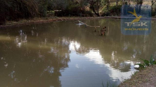 Chácara Rural/Comercial 1.500 m² Mandirituba frente estrada - Foto 10