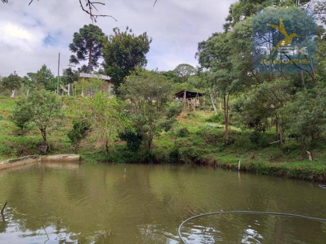 Chácara em Mandirituba - 12100 m² por R$ 210.000 - Zona Rural - Mandirituba/PR - Foto 8