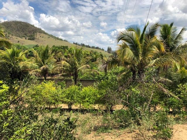 Chácara em Inhapim, 6000 m². Toda murada. Valor 250 mil - Foto 4
