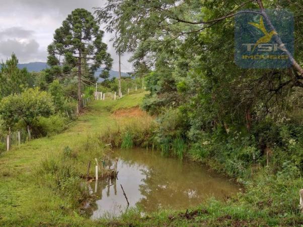 Chácara em Mandirituba - 12100 m² por R$ 210.000 - Zona Rural - Mandirituba/PR - Foto 9