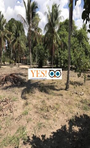 Terreno para Venda no SIM com área de 17.424,00m² - Foto 2