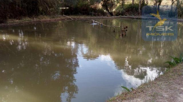 Chácara Rural/Comercial 1.500 m² Mandirituba frente estrada - Foto 13