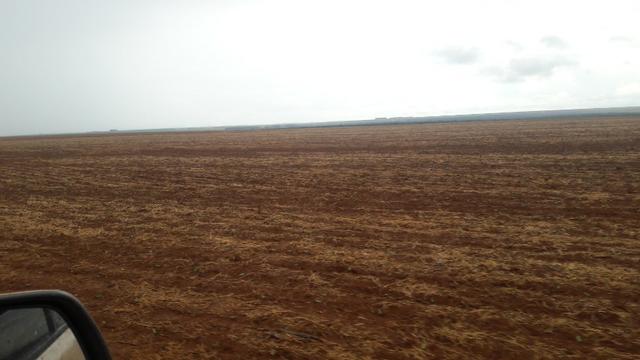 290 Hectares, lavoura mecanizada,Pecuária, Próximo BR-163 - Foto 2