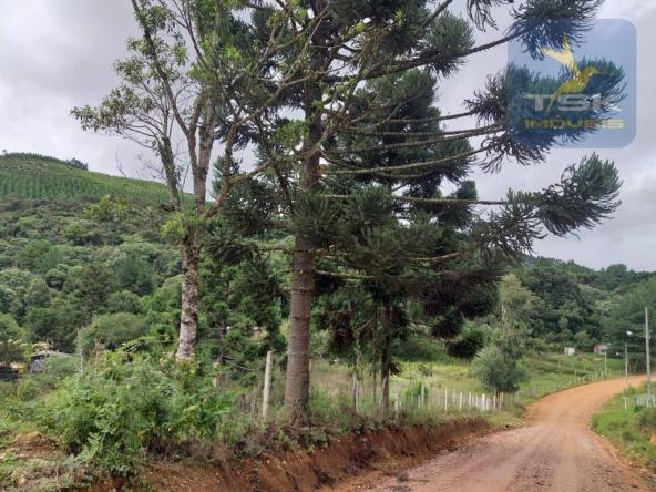 Chácara em Mandirituba - 12100 m² por R$ 210.000 - Zona Rural - Mandirituba/PR - Foto 20
