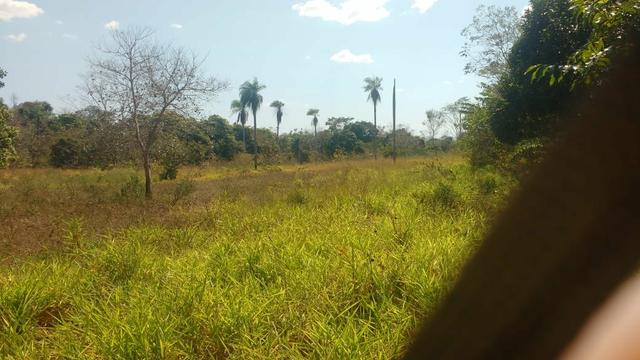 Chácara 5 ha, com Rio 70 km Campo Grande MS - Foto 9