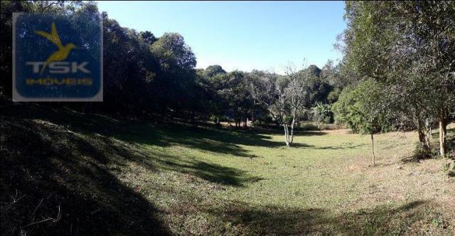 CH0143 - Quitandinha - 7.000 m² - Área para formar chácara - Foto 5