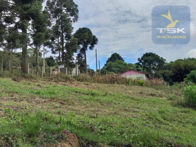 Chácara em Mandirituba - 12100 m² por R$ 210.000 - Zona Rural - Mandirituba/PR - Foto 14