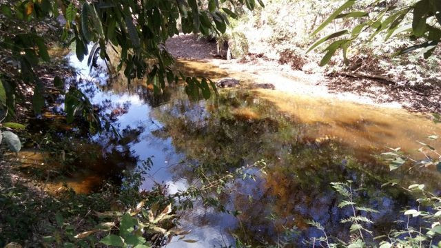 Chácara próx. Santa Rosa, 3 KM depois Ambev asfalto. 8 HC - Foto 15