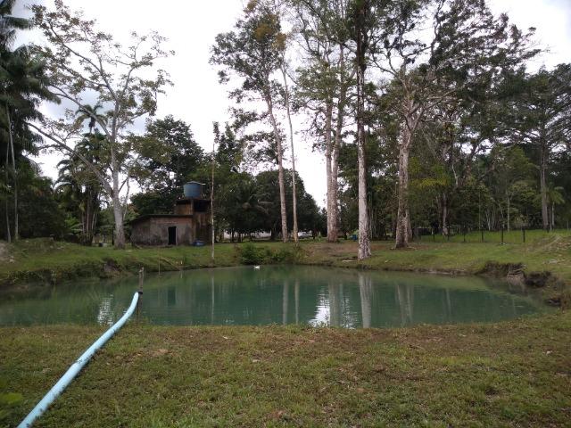 25 hectares a 55 km de Belém lindo Sitio por 200 mil reais Aceito carro na negociação - Foto 2