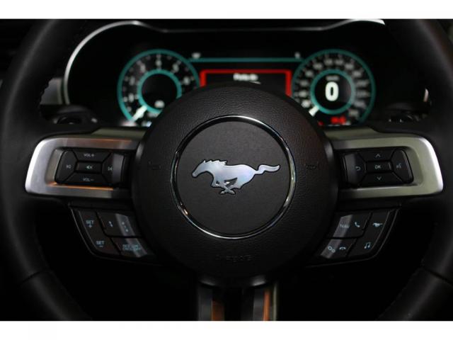 Ford Mustang GT 5.0 - Foto 10