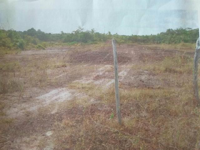 Terreno em Alcântara - Foto 8