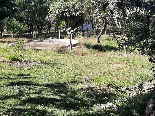 Sítio em engenho das Lajes  - Foto 6