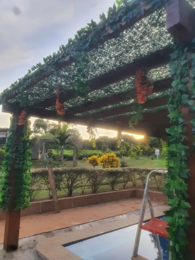 Cobertura para pergolado folhagens - Foto 2