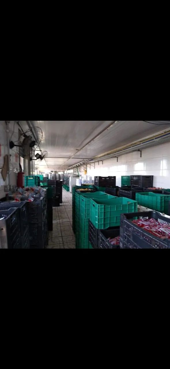 Indústria geladinho industrializado