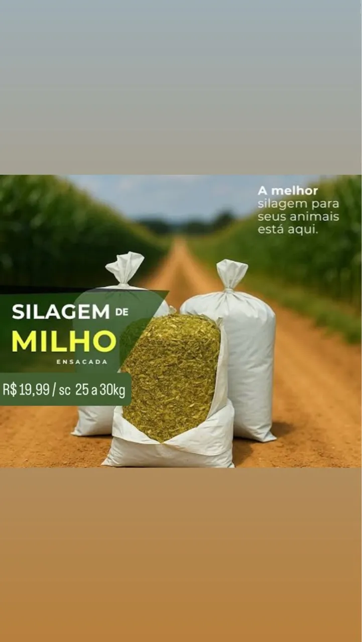 Silagem de Milho Ensacada - Qualidade Superior