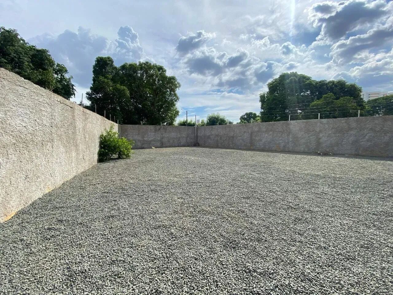 Terreno - Aluguel - Foto 5