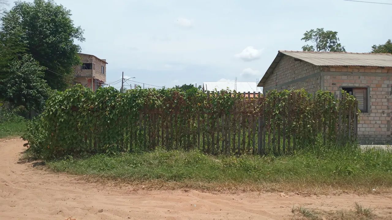 ROÇADOR: SERVIÇOS DE ROÇAGEM EM GERAL  - Foto 2