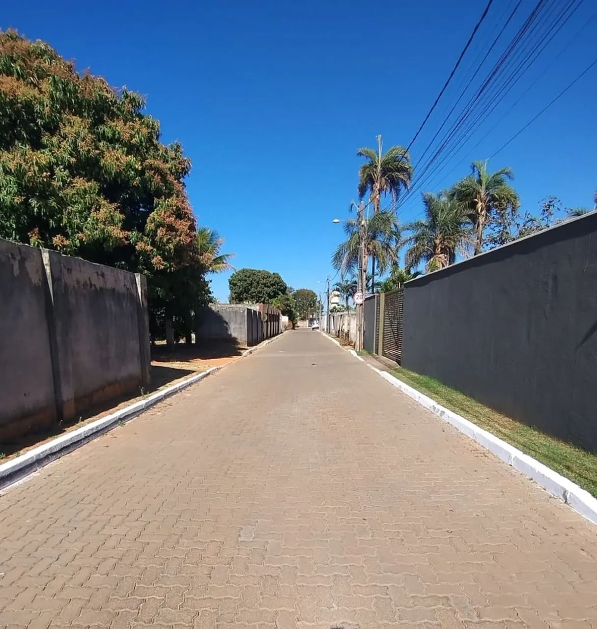 Lote Ponte Alta Norte Rua Bolivar 2 - Foto 5