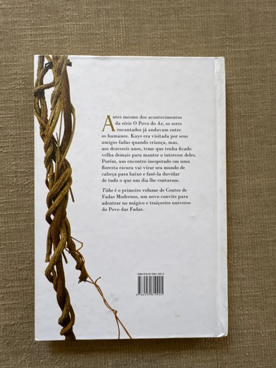 Livro Tithe (Vol. 1 Contos de fadas modernos). Holly Black. Editora Galera.  - Foto 2