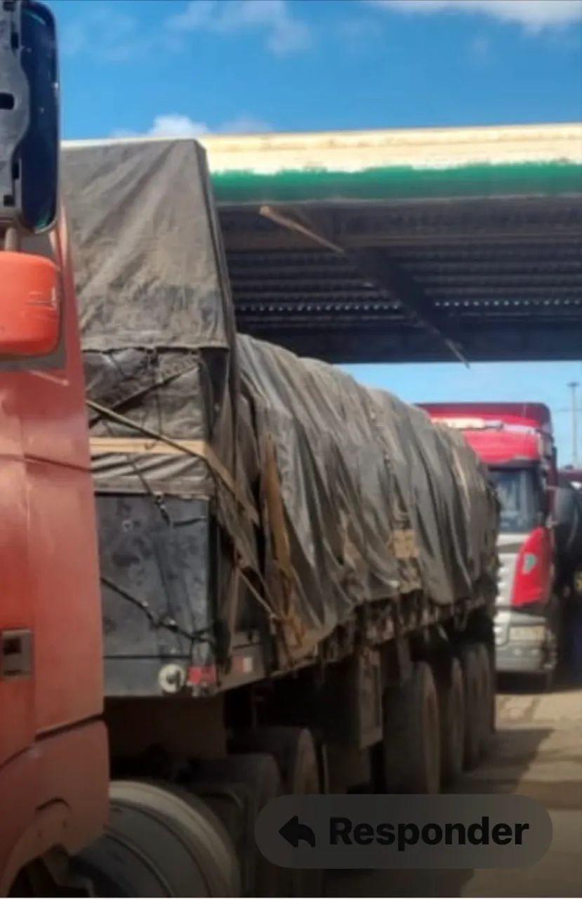 LS Graneiro - Foto 2