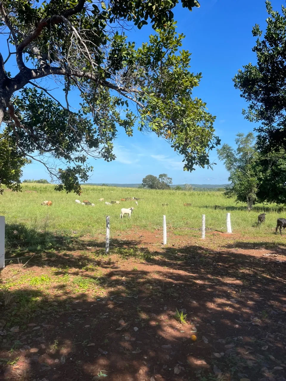 Vendo fazendinha 10.5 alqueire