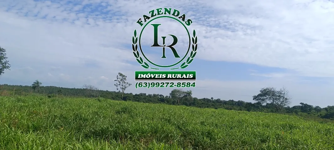 Fazenda 18 Alqueires Próximo a Palmas