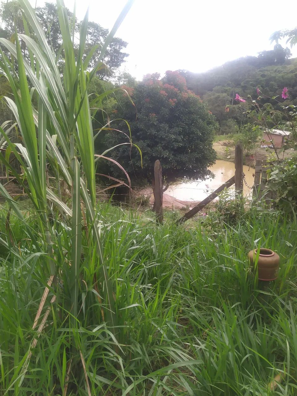 Venda ou troca propriedade linda tudo pronto casa ,curral. - Foto 4
