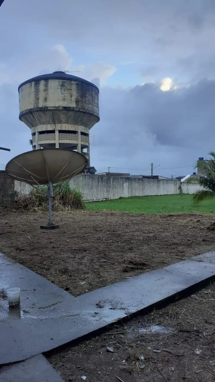 Jardineiro Profissional - Prestação de serviços de jardinagem - Foto 3