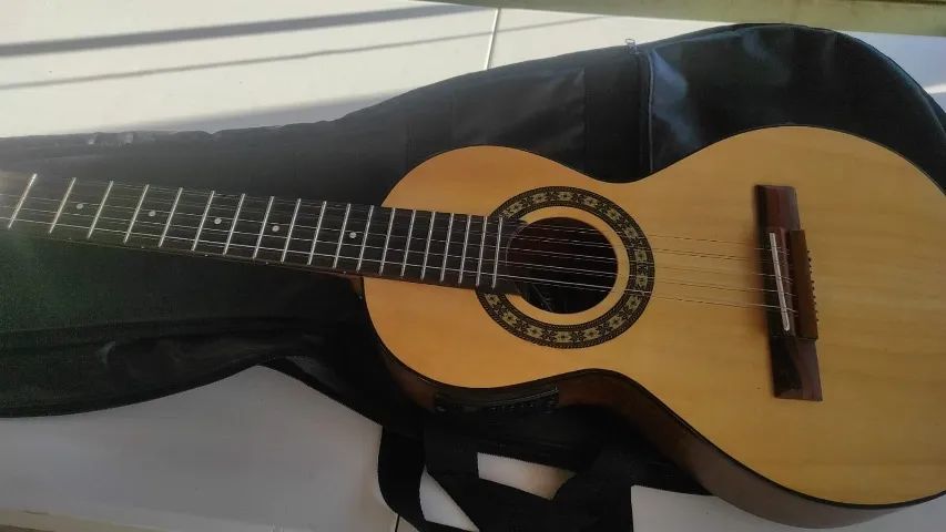 Viola Rozzini EletroAcústica