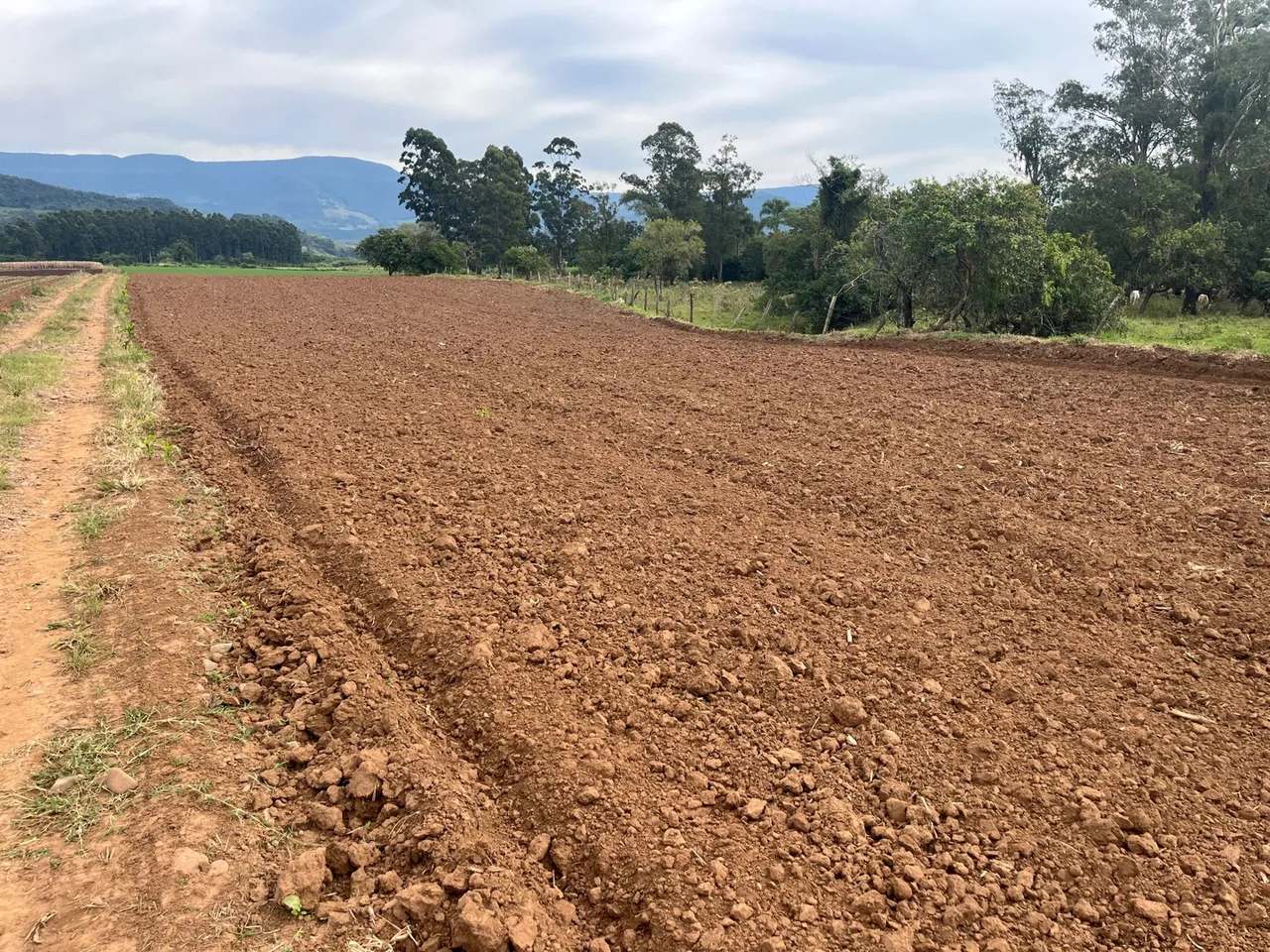 Terreno para chacaras, lavoura ou campo. Terreno 3,2 hectares em ótima localização,