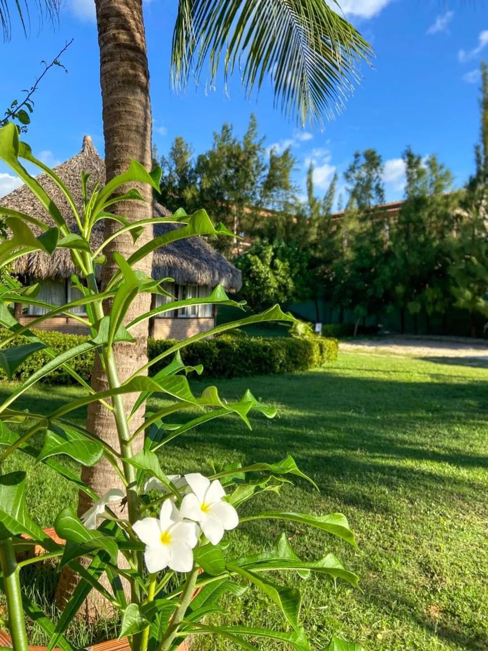 CASA POR TEMPORADA. - Foto 9