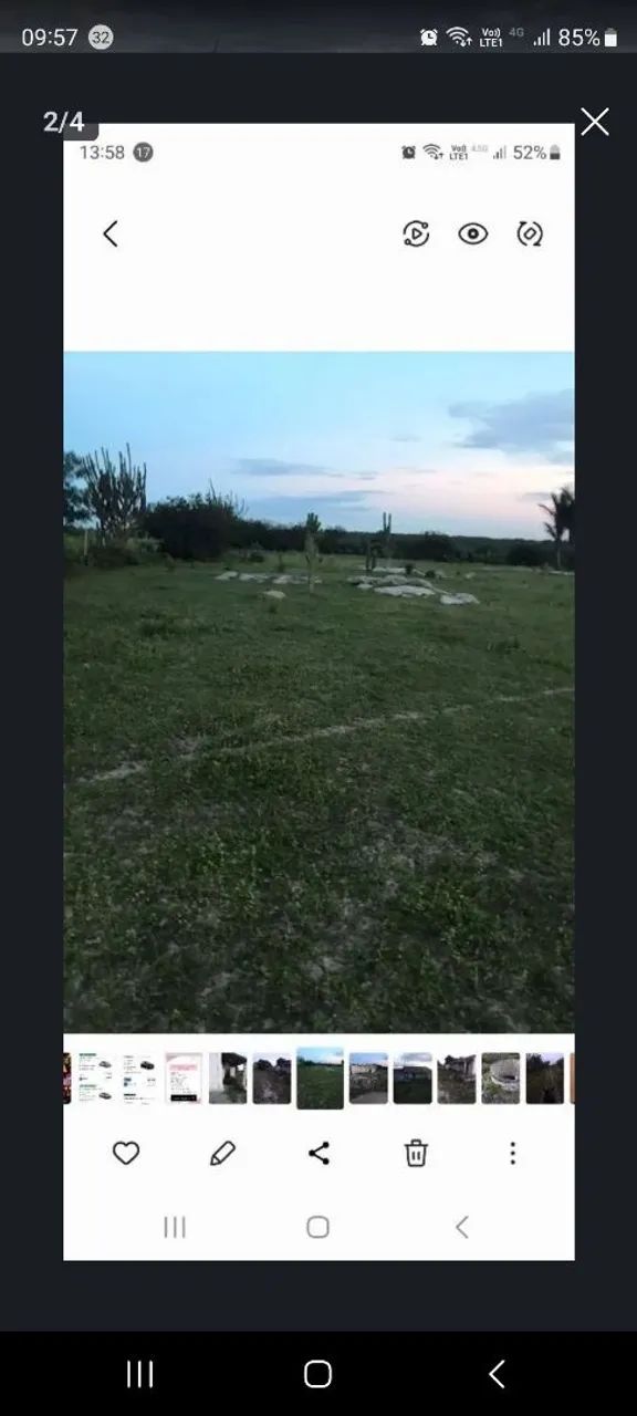 Sítio com 3 hectares - Foto 3