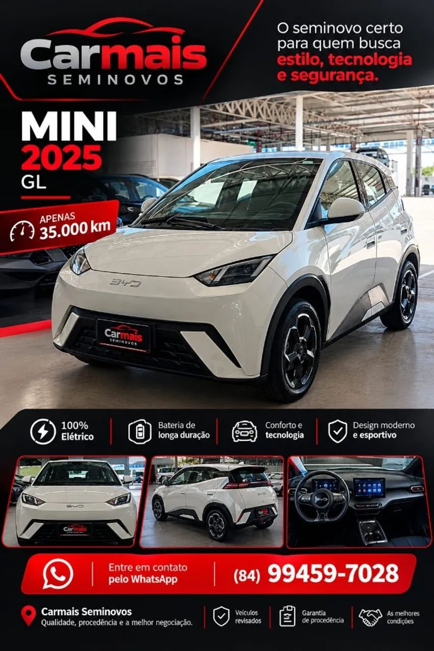 BYD Dolphin Mini (Elétrico) 2025