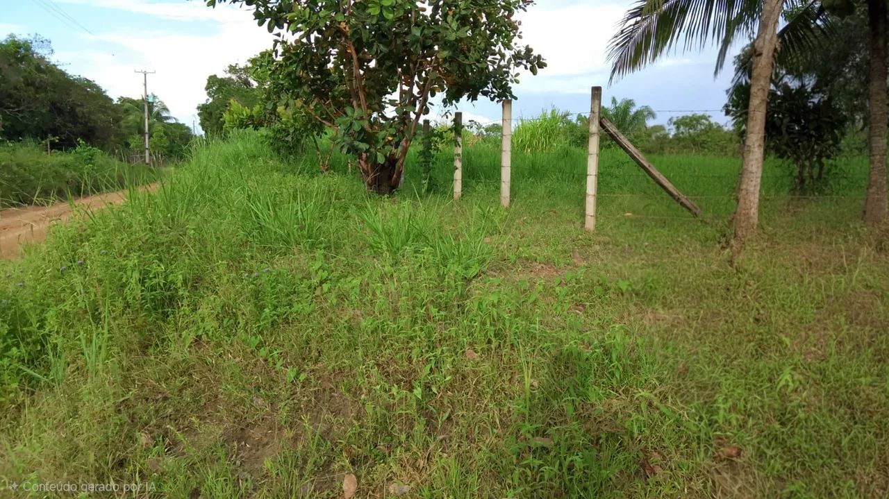 SÍTIO  a VENDA - Foto 5