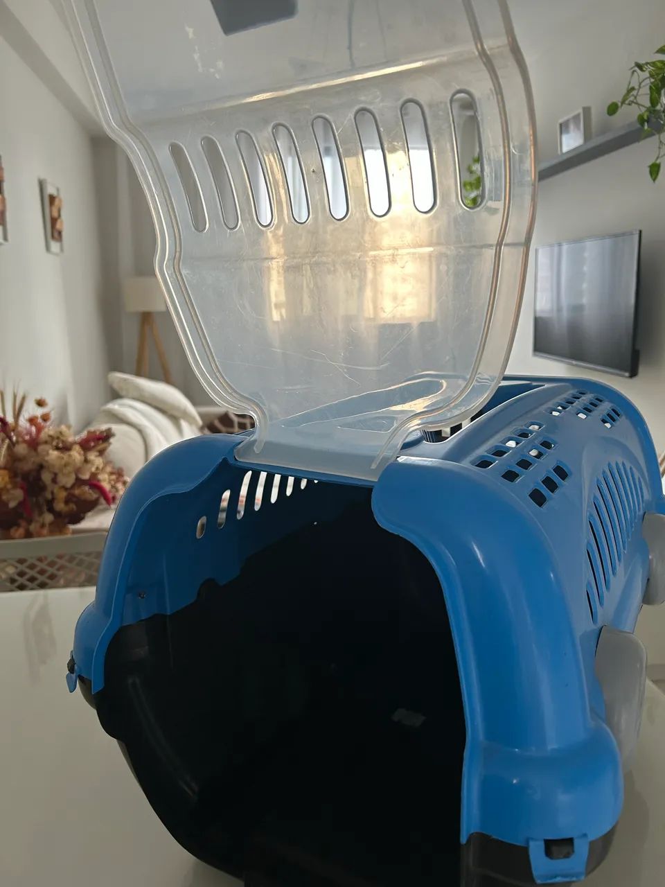 Casinha de transporte cachorro  - Foto 2