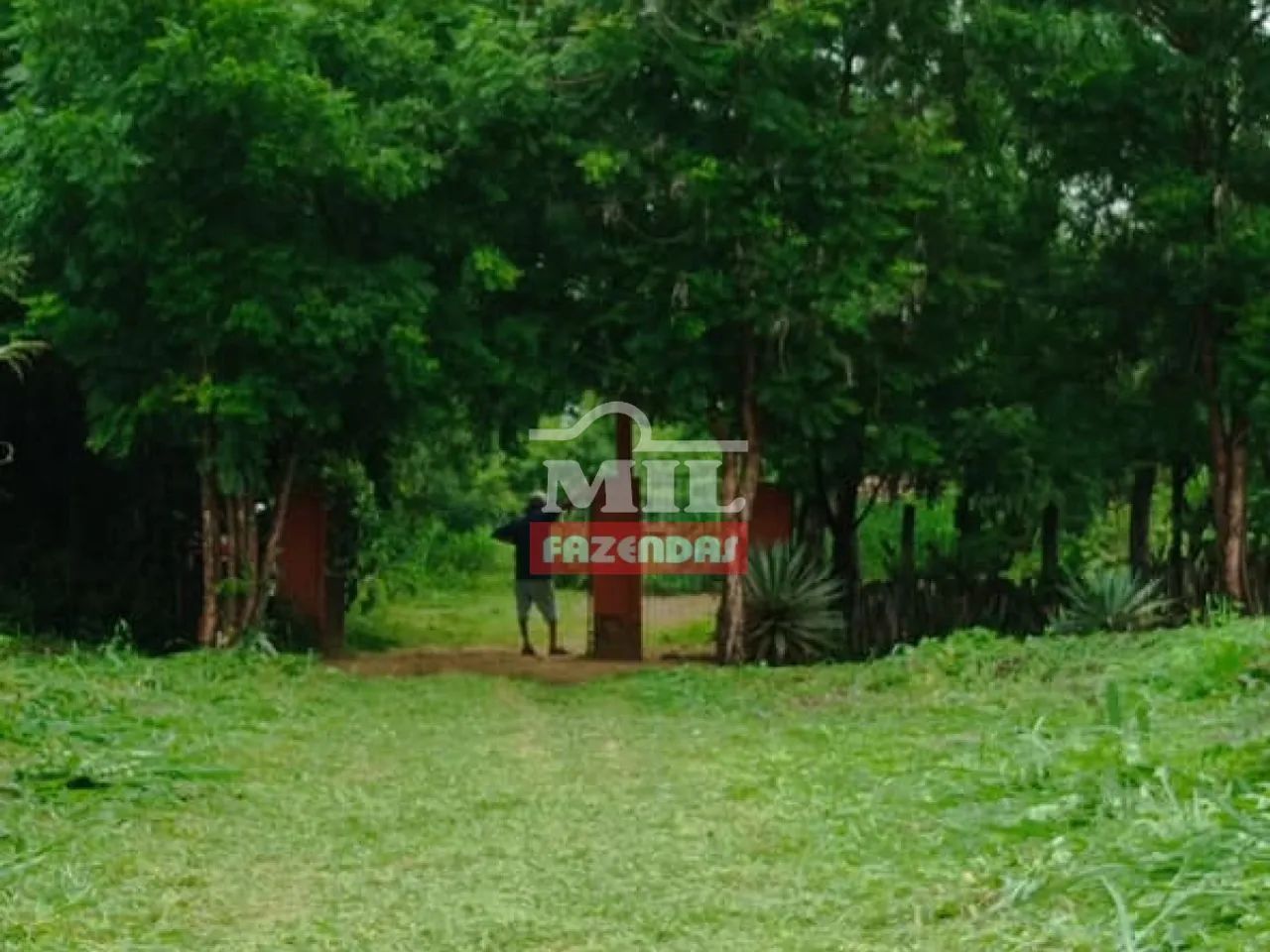 Fazenda 70,2 Hectares Floriano - PI