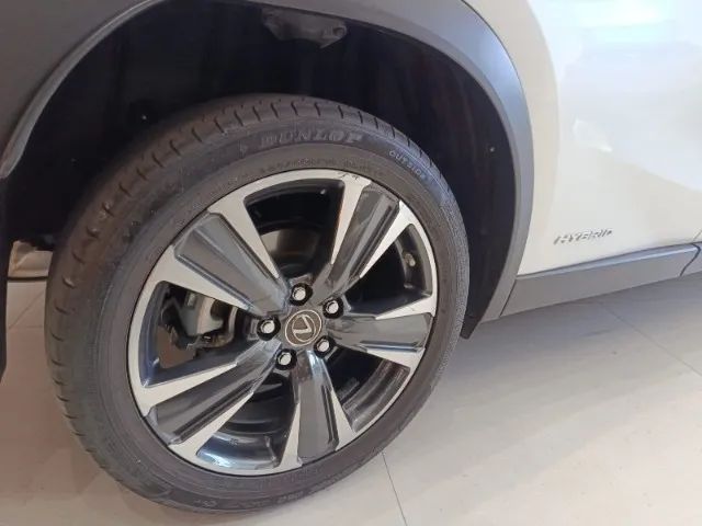 Lexus UX-250h Dynamic 2.0 16V Aut.(hybrid), foto 19 de 20